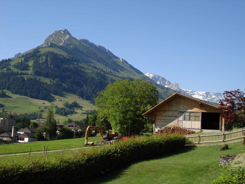 Studio Elsighorn Apartment Frutigen Exterior photo